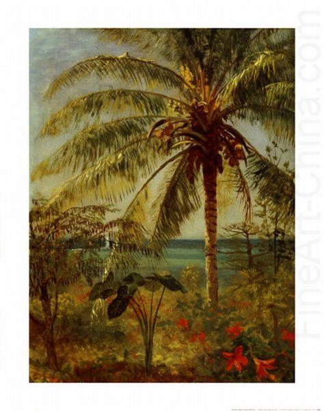 Palm Tree, Nassau by Albert Bierstadt, Albert Bierstadt